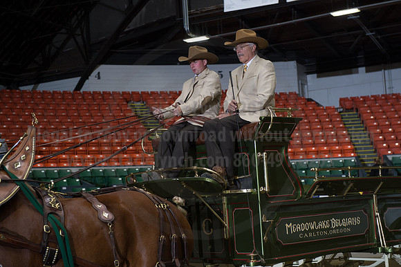 NABC8_10132016_SCL_7737