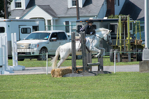 2016DCF_08242016_SCL_8777