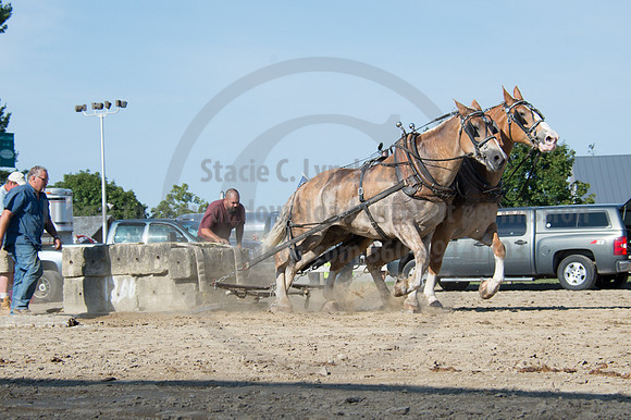 2016DCF_08242016_SCL_9481