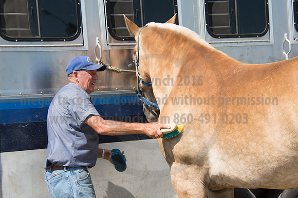 2016DCF_08242016_SCL_9218