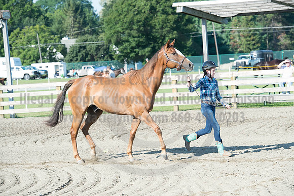 2016DCF_08272016_SCL_0938