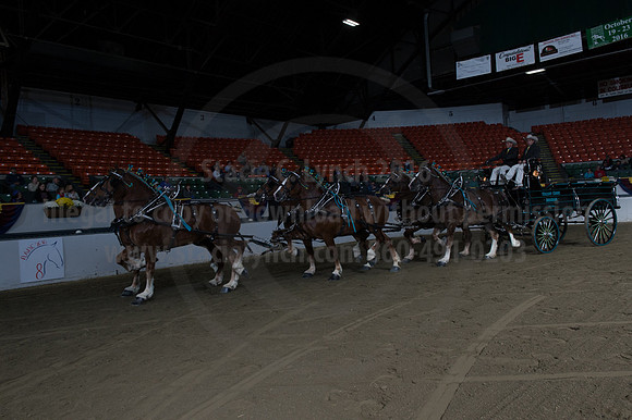 NABC8_10142016_SCL_8664