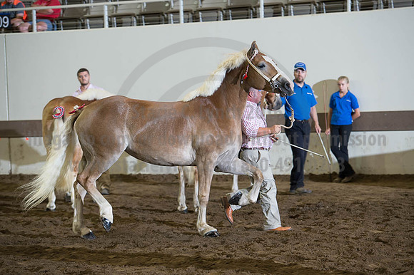 ISF_08192016_SCL_4356