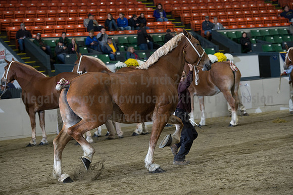 NABC8_10132016_SCL_5213