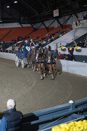 NABC8_10142016_SCL_8747