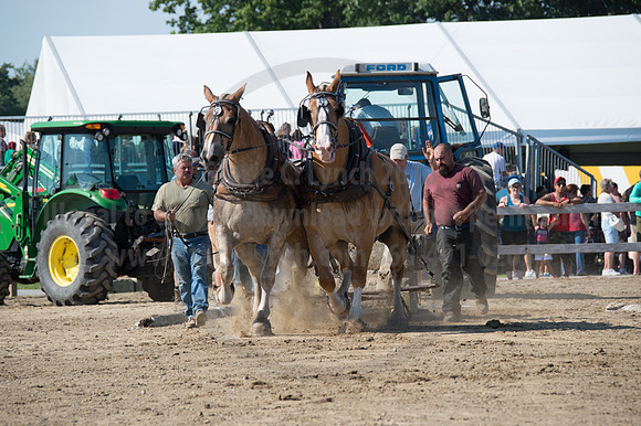2016DCF_08242016_SCL_9407
