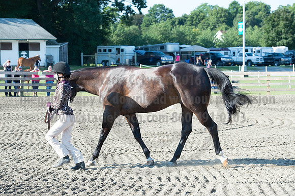 2016DCF_08272016_SCL_0935