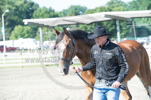 2016DCF_08272016_SCL_1039