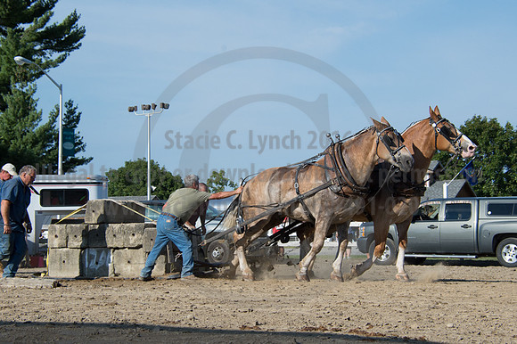 2016DCF_08242016_SCL_9536