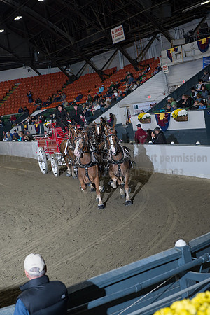 NABC8_10142016_SCL_8752