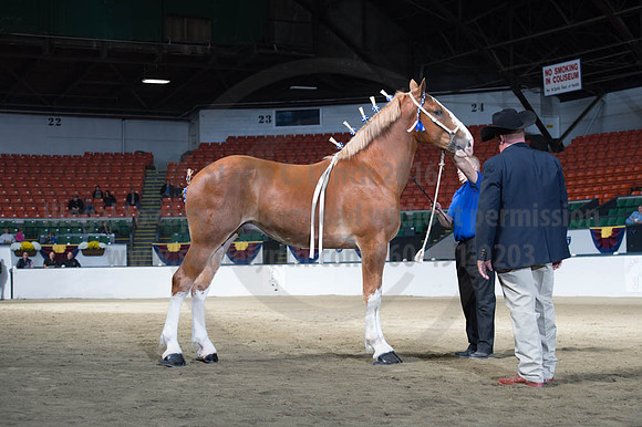 NABC8_10122016_SCL_2877
