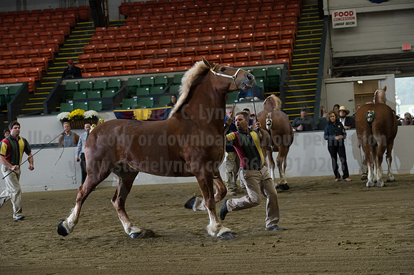 NABC8_10132016_SCL_5087