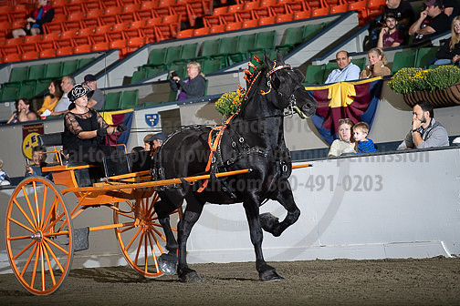 BigE_09292024_SCL2158