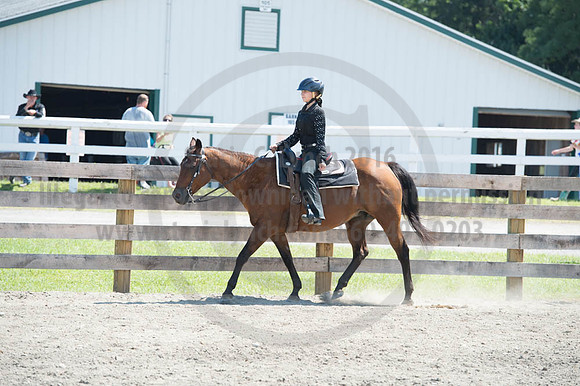 2016DCF_08272016_SCL_1323