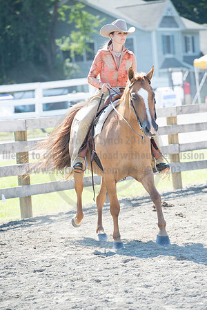 2016DCF_08272016_SCL_1106