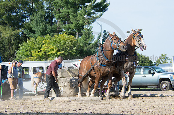 2016DCF_08242016_SCL_9515