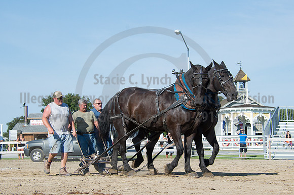 2016DCF_08242016_SCL_9471
