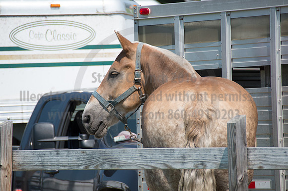 2016DCF_08242016_SCL_8897