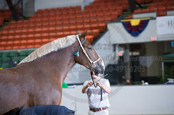 NABC8_10132016_SCL_5241