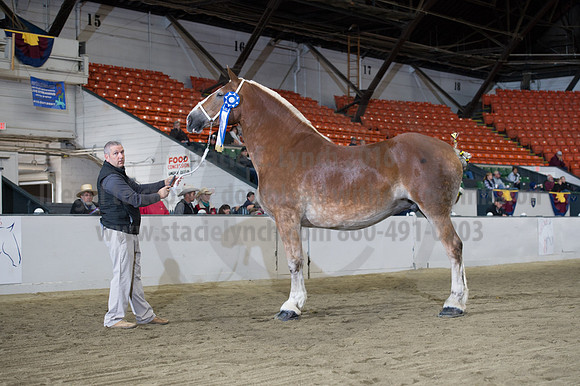 NABC8_10132016_SCL_5323