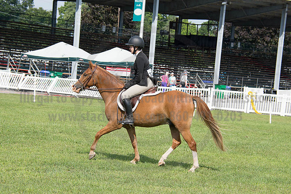 2016DCF_08252016_SCL_9707