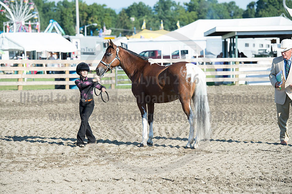 2016DCF_08272016_SCL_0896