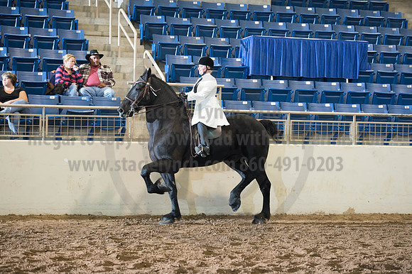2016 _KILE_10082016_SCL9297