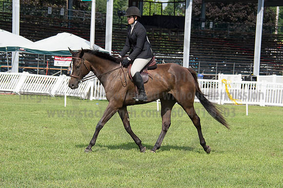 2016DCF_08252016_SCL_9698