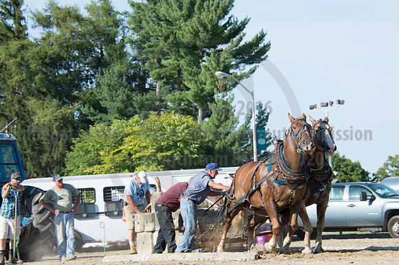 2016DCF_08242016_SCL_9521