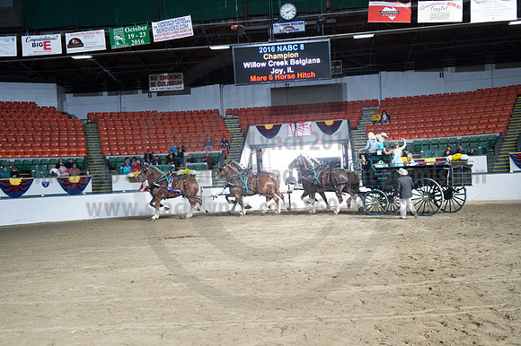 NABC8_10142016_SCL_8831