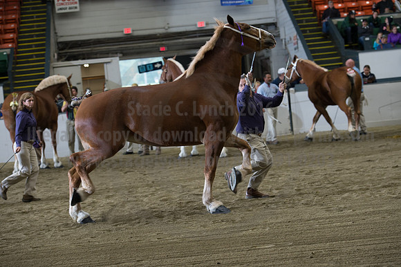 NABC8_10132016_SCL_5271