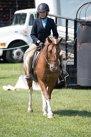 2016DCF_08242016_SCL_8925