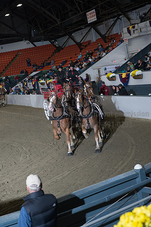 NABC8_10142016_SCL_8753