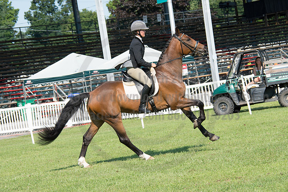 2016DCF_08242016_SCL_8578