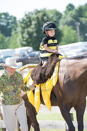 2016DCF_08272016_SCL_1252