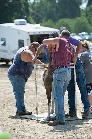 2016DCF_08272016_SCL_1363