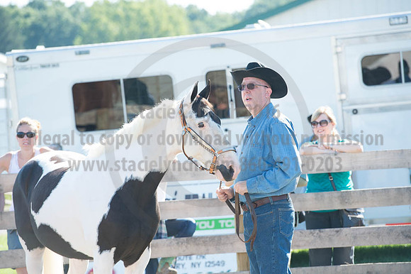 2016DCF_08272016_SCL_1043