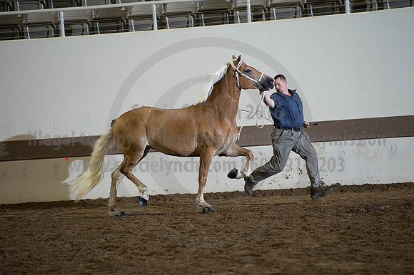 ISF_08192016_SCL_4337