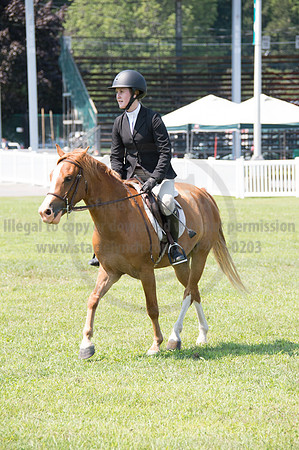 2016DCF_08242016_SCL_8922