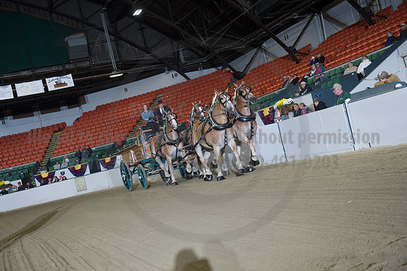 NABC8_10132016_SCL_7769