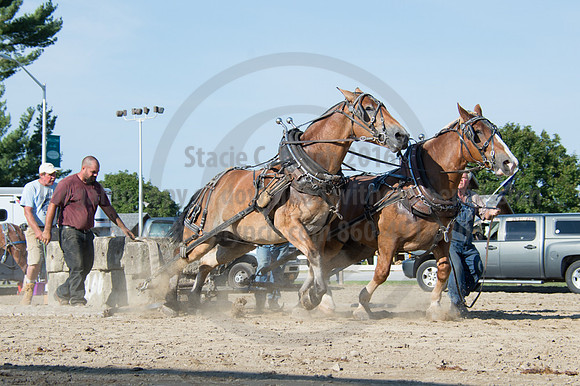2016DCF_08242016_SCL_9490