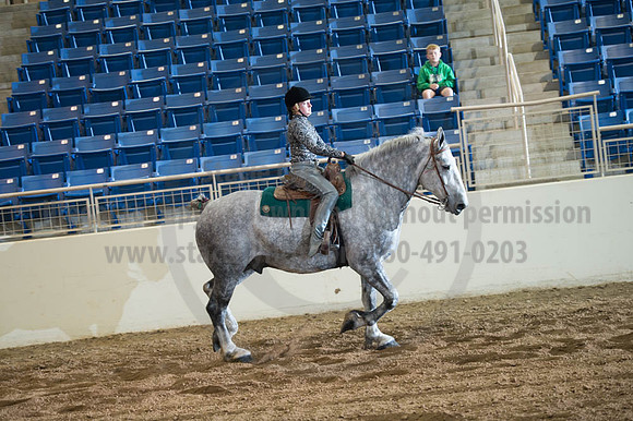 2016 _KILE_10082016_SCL9472
