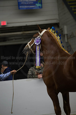 NABC8_10122016_SCL_4120