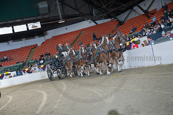 NABC8_10142016_SCL_8690