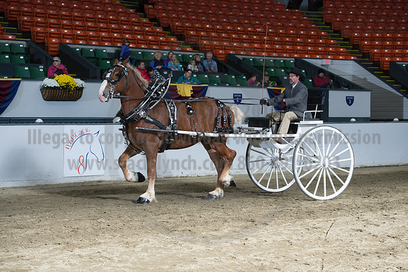 NABC8_10142016_SCL_8408
