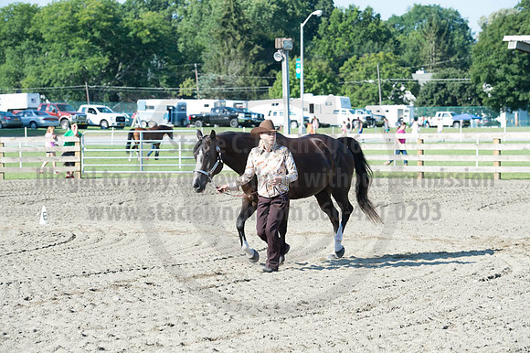 2016DCF_08272016_SCL_0971