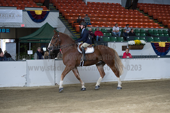 NABC8_10152016_SCL_0613