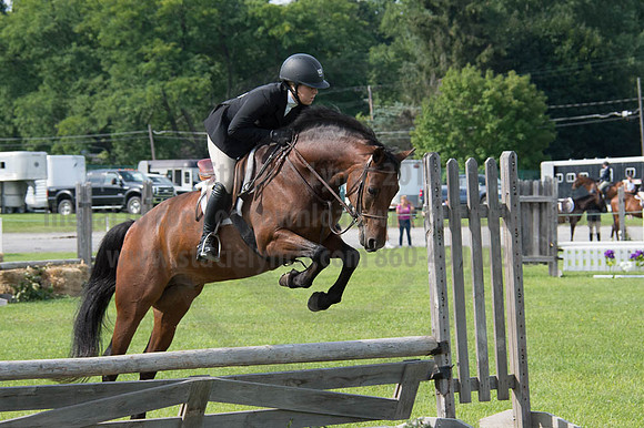 2016DCF_08252016_SCL_9680