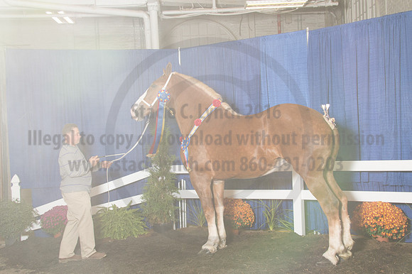 NABC8_10152016_SCL_1862
