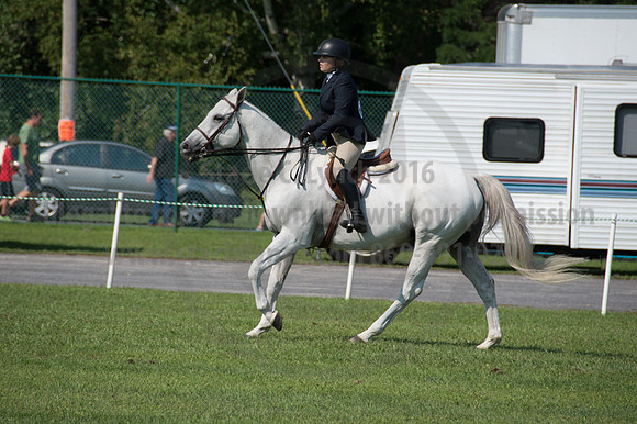 2016DCF_08242016_SCL_8646